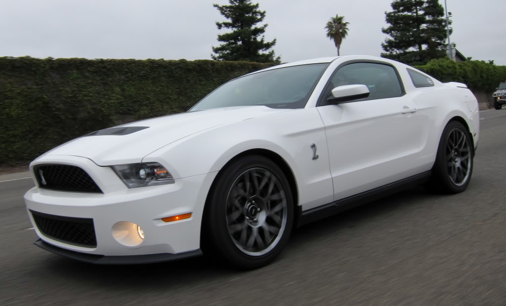 Name:  Shelbyrollingshot.jpg
Views: 44
Size:  76.2 KB