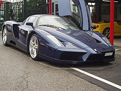 More Enzo Pics-1.jpg