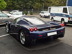 More Enzo Pics-2.jpg