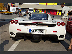 More Enzo Pics-3.jpg