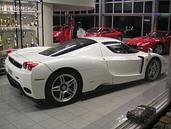 More Enzo Pics-4.jpg