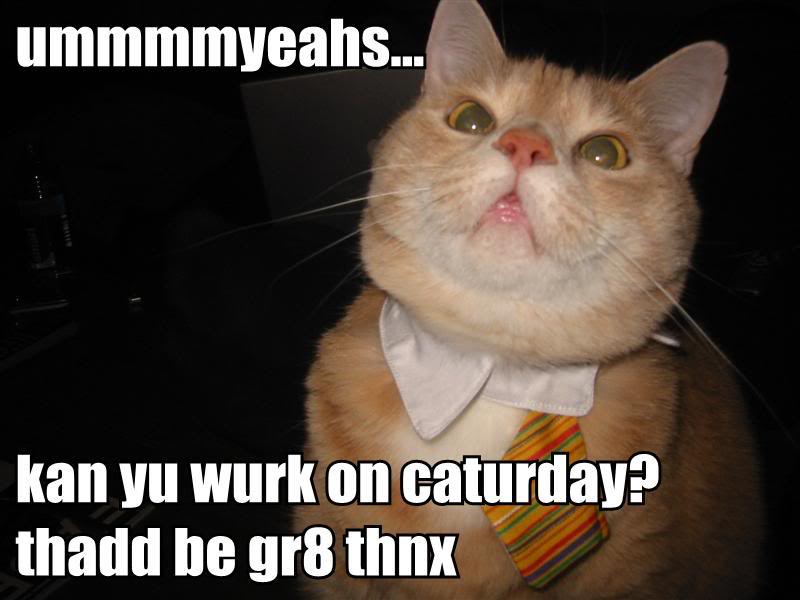 Name:  work20on20caturday.jpg
Views: 9
Size:  48.3 KB