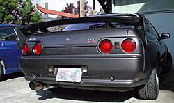 Skyline spotted-r32back.jpg