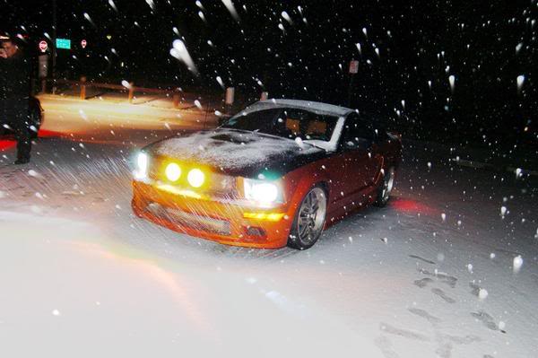 Name:  snowmustang.jpg
Views: 14
Size:  35.9 KB