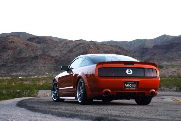 Name:  mustang2.jpg
Views: 15
Size:  30.5 KB