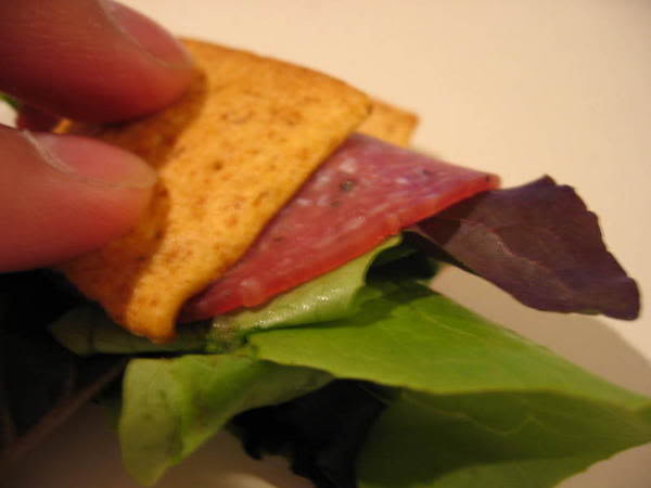 Name:  TriscutSandwich004.jpg
Views: 12
Size:  20.8 KB