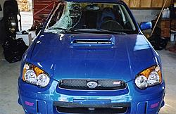 The one, the only, Deer Killer STi-deer_sti751.jpg