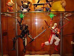 Snake Eyes vs Storm Shadow-dsc00503.jpg