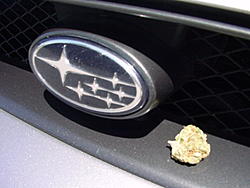 happy 420 fooz-dsc00111.jpg