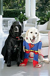 vader...-img252997737.jpg