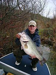 Official: Bass Fishing Thread-toadbass.jpg