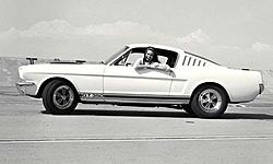 Some Cool Old Mustang-1.jpg