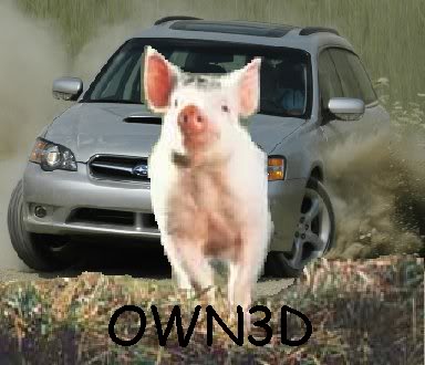 Name:  pig.jpg
Views: 9
Size:  27.1 KB