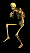 Name:  skeleton-4.gif
Views: 12
Size:  18.3 KB