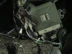 wow did some wiring today!!!!1-dsc00268.jpg