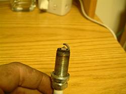 Spark Plugs-dscf0011-medium-.jpg