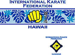 Initial decision about the shirts...-karate-white-blue-gold.jpg