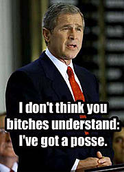 Funny picture thread...-bushposse.jpeg