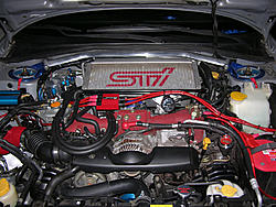 Cusco Dual Oil Catch Can Setup...-dscn2706.jpg