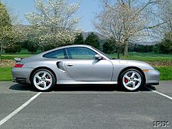 Porsche 911's...  OH MY!-i-10_b.jpg