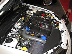 SEMA 2007 Pics-10.31-046.jpg