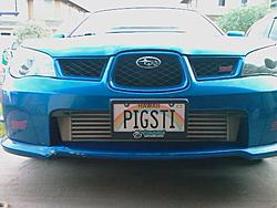 New Plates!!-pigsti.jpg