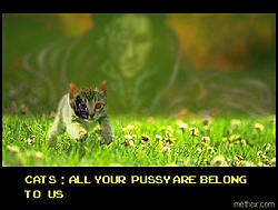 My filth contribution for the week *link warning*-all_your_kitty.jpg