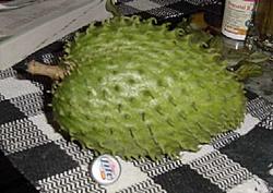 What is this prickly fruit??-fruitthing2.jpg