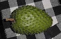 What is this prickly fruit??-fruithing.jpg