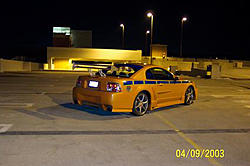 All y'all better back up offa mah grill!-pics-stang-cavi_0380.jpg