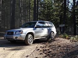 When Rallying is outlawed, only outlaws will rally: Redwood Rendezvous IV-dsc03065-medium-.jpg