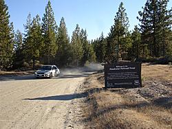 When Rallying is outlawed, only outlaws will rally: Redwood Rendezvous IV-dsc03070-medium-.jpg