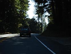 When Rallying is outlawed, only outlaws will rally: Redwood Rendezvous IV-dsc03082-medium-.jpg