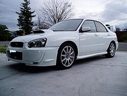 FS: 04 Aspen White Sti-p1010003.jpg