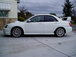 FS: 04 Aspen White Sti-p1010005.jpg