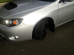 2008+ Impreza Tein S-Tech Springs... 0-image-1407838180.jpg