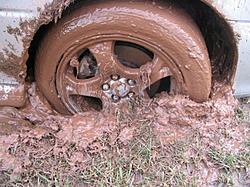 Had alittle too much fun in the mud-13.jpg