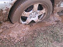 Had alittle too much fun in the mud-14.jpg