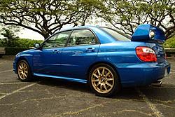 Dynamic Duo in Hawaii-sti2.jpg