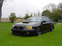 New rims 17x8, lamin-x headlight kit, and tein H techs-dsc00273.jpg