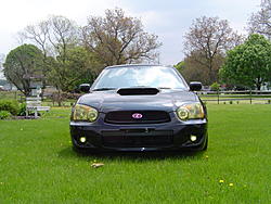 New rims 17x8, lamin-x headlight kit, and tein H techs-dsc00274.jpg