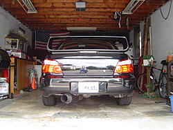 New rims 17x8, lamin-x headlight kit, and tein H techs-dsc00272.jpg