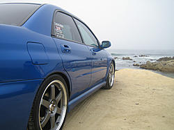 Blu Bird @ Pebble Beach-2.jpg