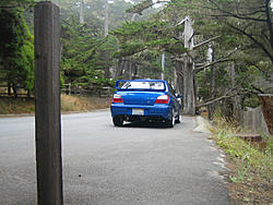 Blu Bird @ Pebble Beach-3.jpg