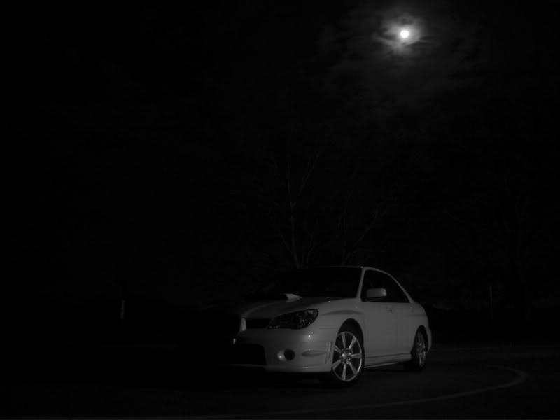 Name:  Moonlight4.jpg
Views: 7
Size:  11.8 KB