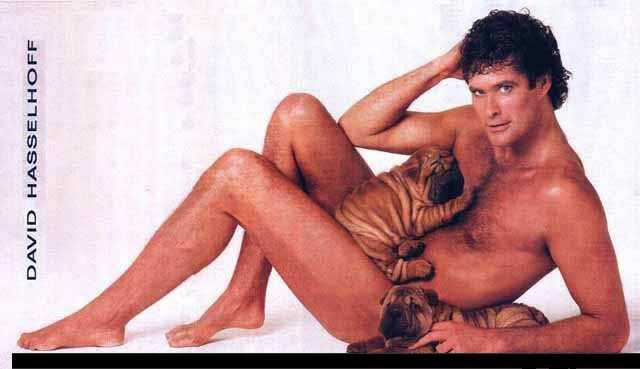 Name:  david-hasselhoff-img_2.jpg
Views: 9
Size:  28.3 KB