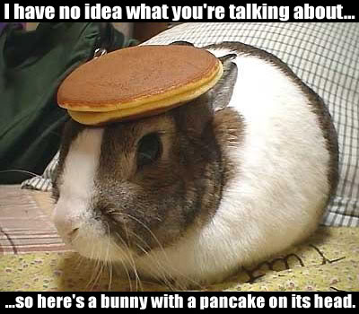 Name:  BunnyPancake.jpg
Views: 4
Size:  37.4 KB