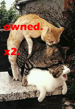 Name:  ownedthreecats-Skrutor.gif
Views: 29
Size:  77.2 KB