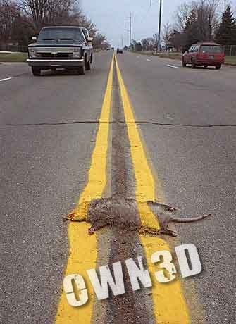 Name:  owned-roadkill.jpg
Views: 29
Size:  23.4 KB