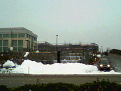 Snowing in Roseville-img0b04.jpg